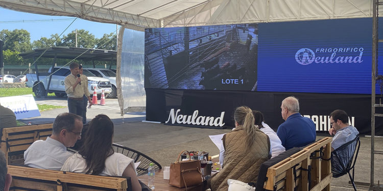 Frigorífico Neuland encabezó la actividad Experiencia Res 2023