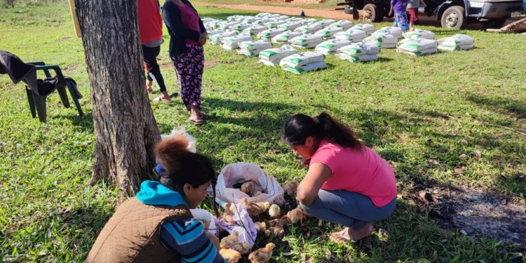 Entregan insumos para la cría de aves a comunidades indígenas Mbya Guaraní