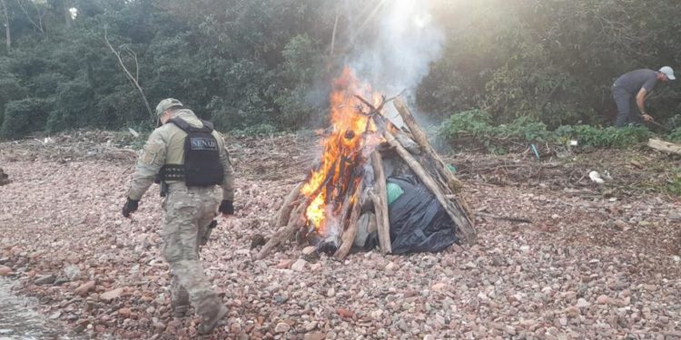 Itapúa: SENAD y el Dpto. Antinarcóticos de la Policía Nacional detectan y destruyen dos cargamentos de drogas