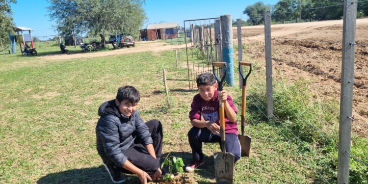 Ruta de la Leche: Cerca de 10.000 plantines se repusieron en torno a las obras