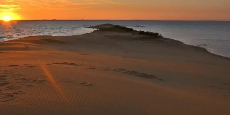 MOPC impulsa proyecto para recuperar las dunas de San Cosme y Damián