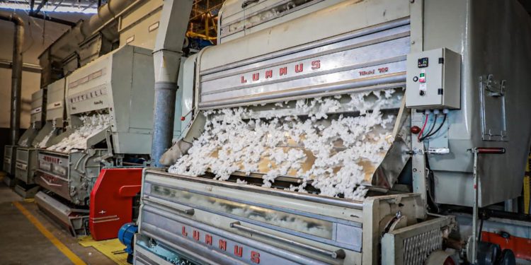 Chaco: Aprueban proyecto industrial para producir hilos de algodón provenientes de la región