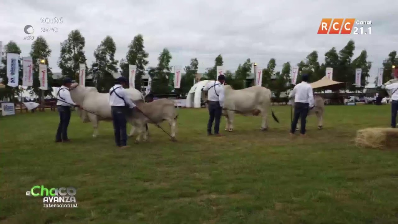 El Chaco Avanza Intercolonial