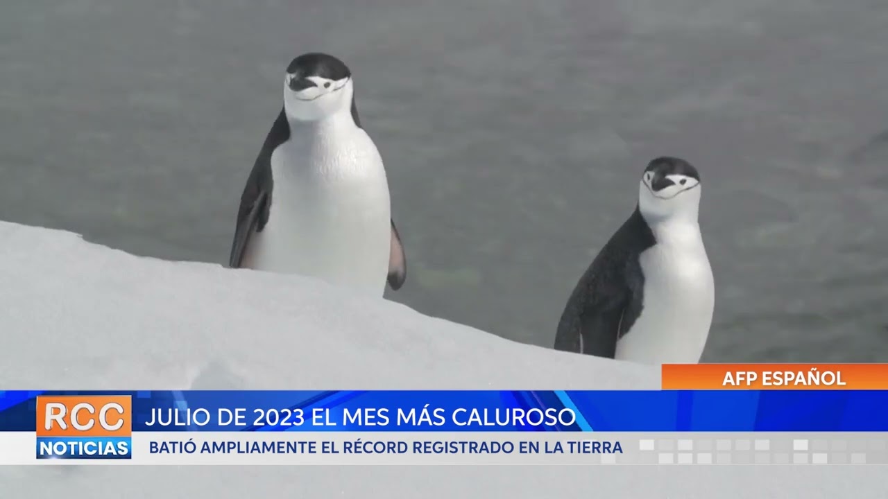 Julio de 2023 se confirma como el mes más caluroso registrado hasta la fecha