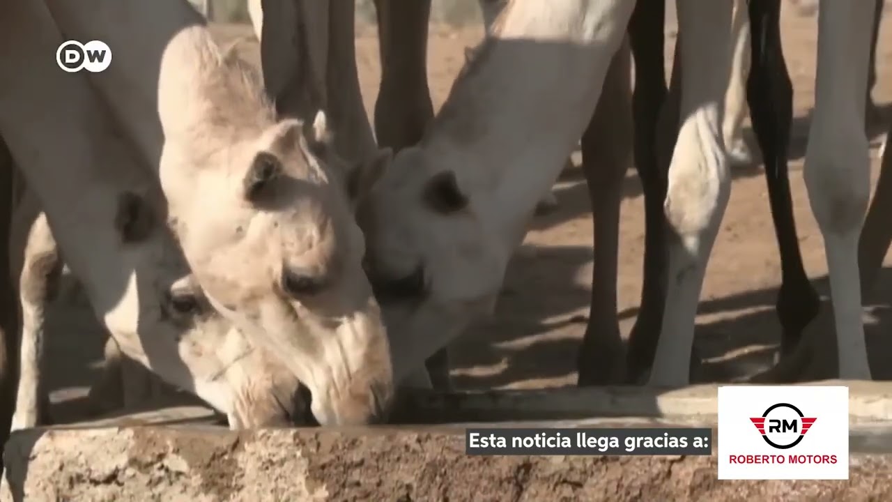 Al menos 25 países sufren la escasez extrema de agua