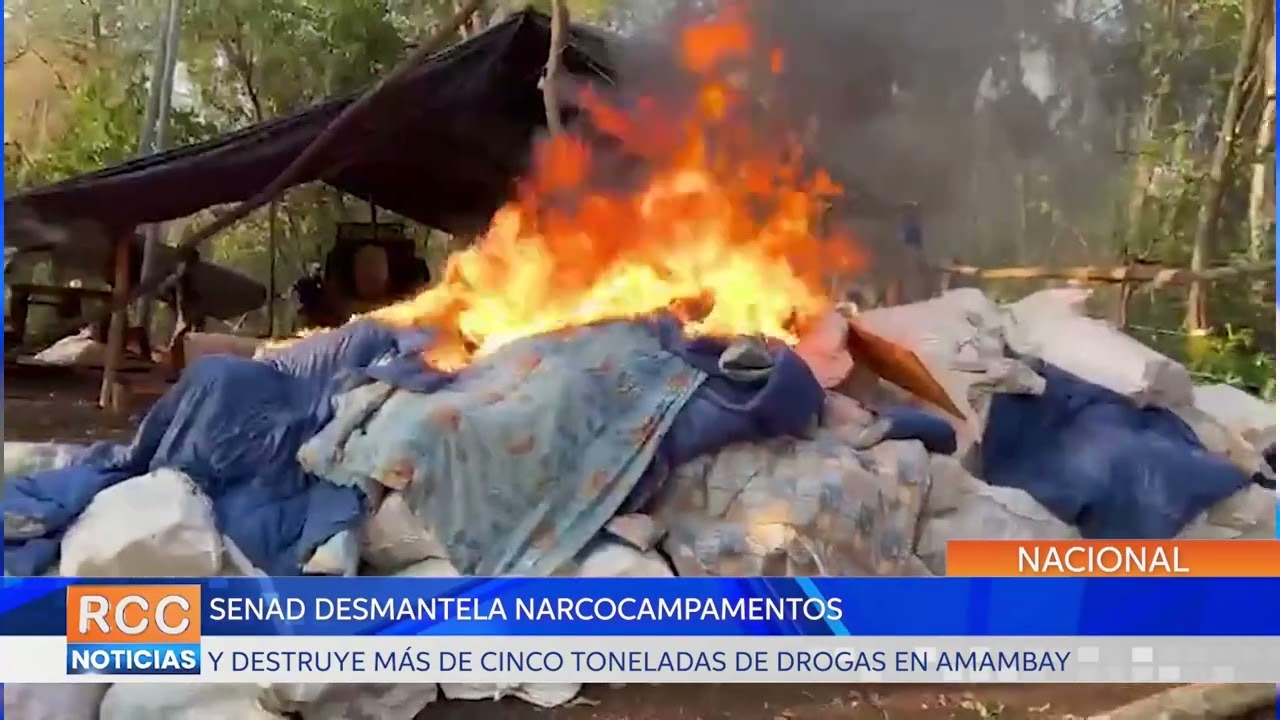 SENAD desmantela narcocampamentos y erradica más de cinco toneladas de sustancias ilícitas