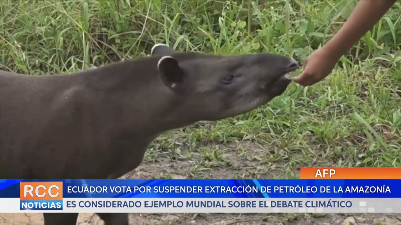 Ecuador vota por suspender extracción de petróleo en una parte de la Amazonía