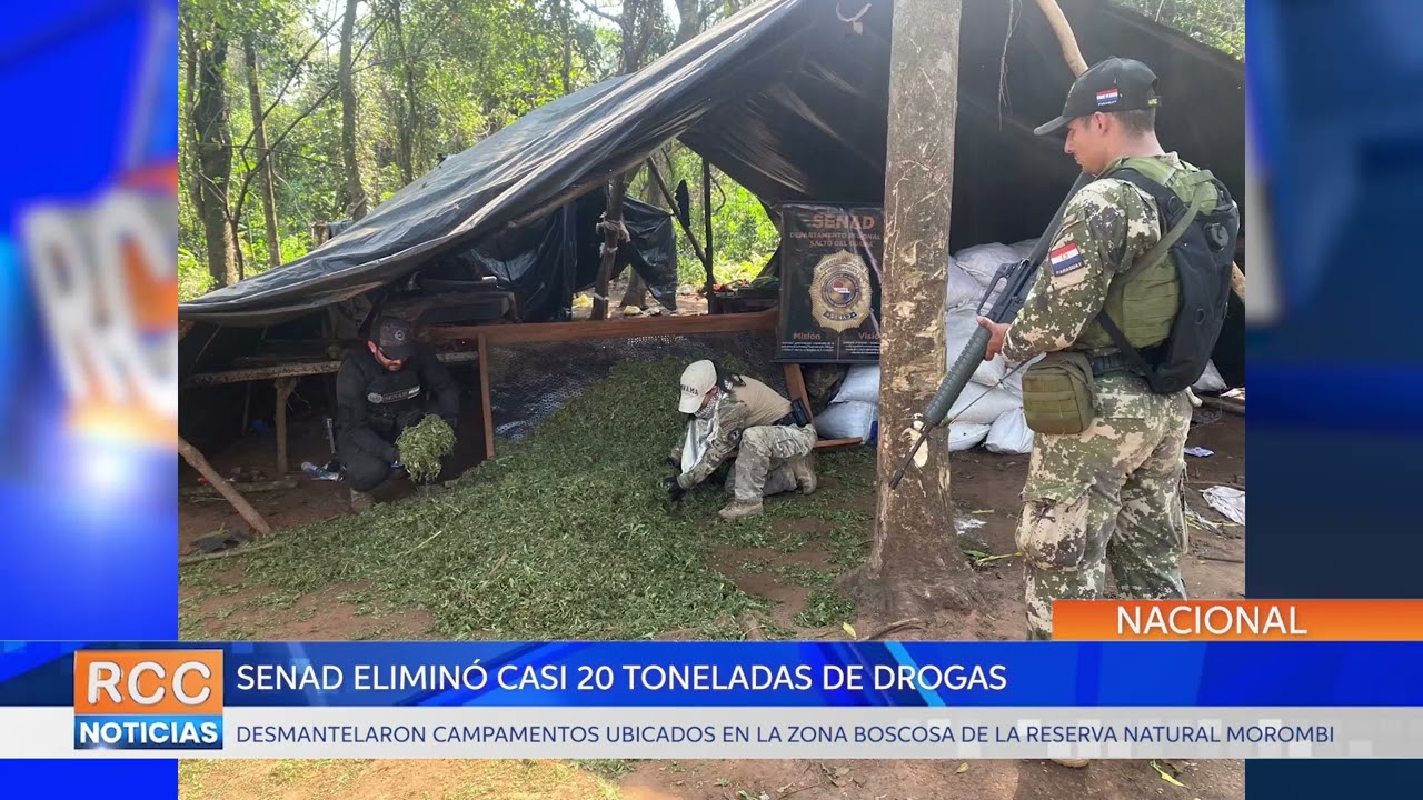 Agentes de la SENAD eliminaron casi 20 toneladas de sustancias ilícitas de Reserva Natural Morombi