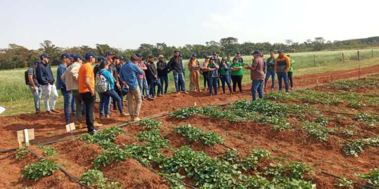 Municipio de Boquerón pretende firmar convenio para mejorar las producciones de autoconsumo