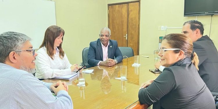 Cuidar la salud mental a través de las USF Cuidar la salud mental a través de las USF