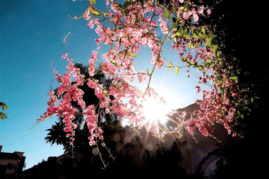 Meteorología prevé un jueves caluroso Meteorología prevé un jueves caluroso
