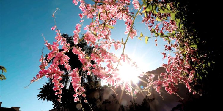 Meteorología prevé un jueves caluroso