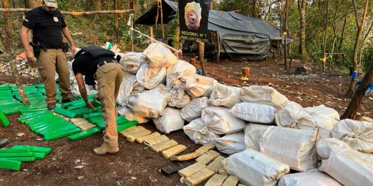 SENAD desmantela narcocampamentos y erradica más de cinco toneladas de sustancias ilícitas