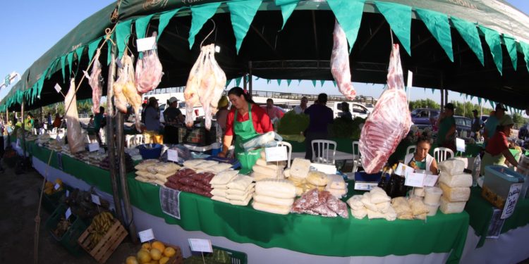 Ferias Agropecuarias ya tienen el calendario para todo el año Ferias Agropecuarias ya tienen el calendario para todo el año