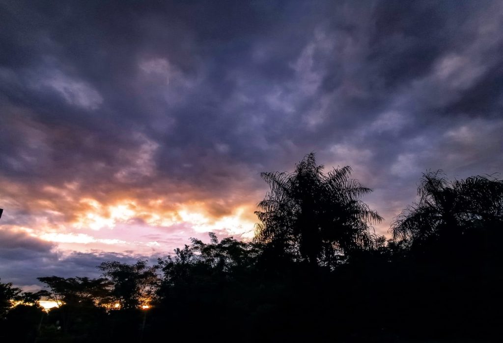 Anuncian día fresco a cálido con vientos del sur Anuncian día fresco a cálido con vientos del sur