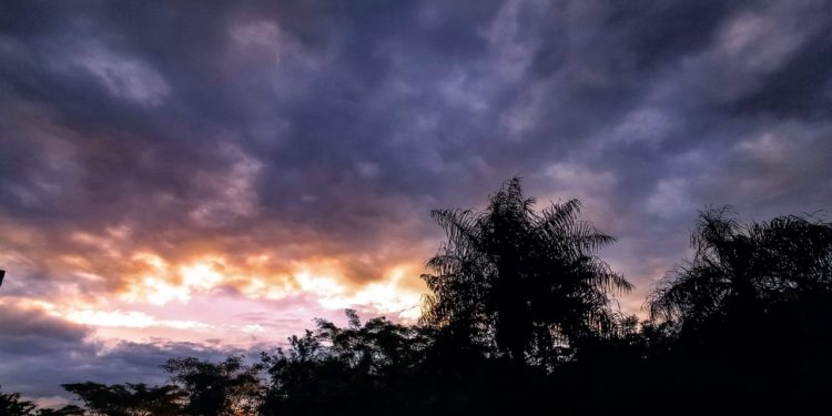 Anuncian día fresco a cálido con vientos del sur Anuncian día fresco a cálido con vientos del sur