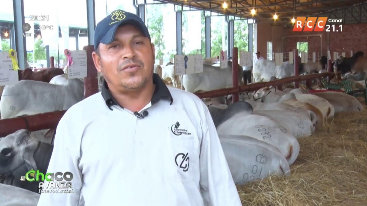 EL CHACO AVANZA – INTER-COLONIAL