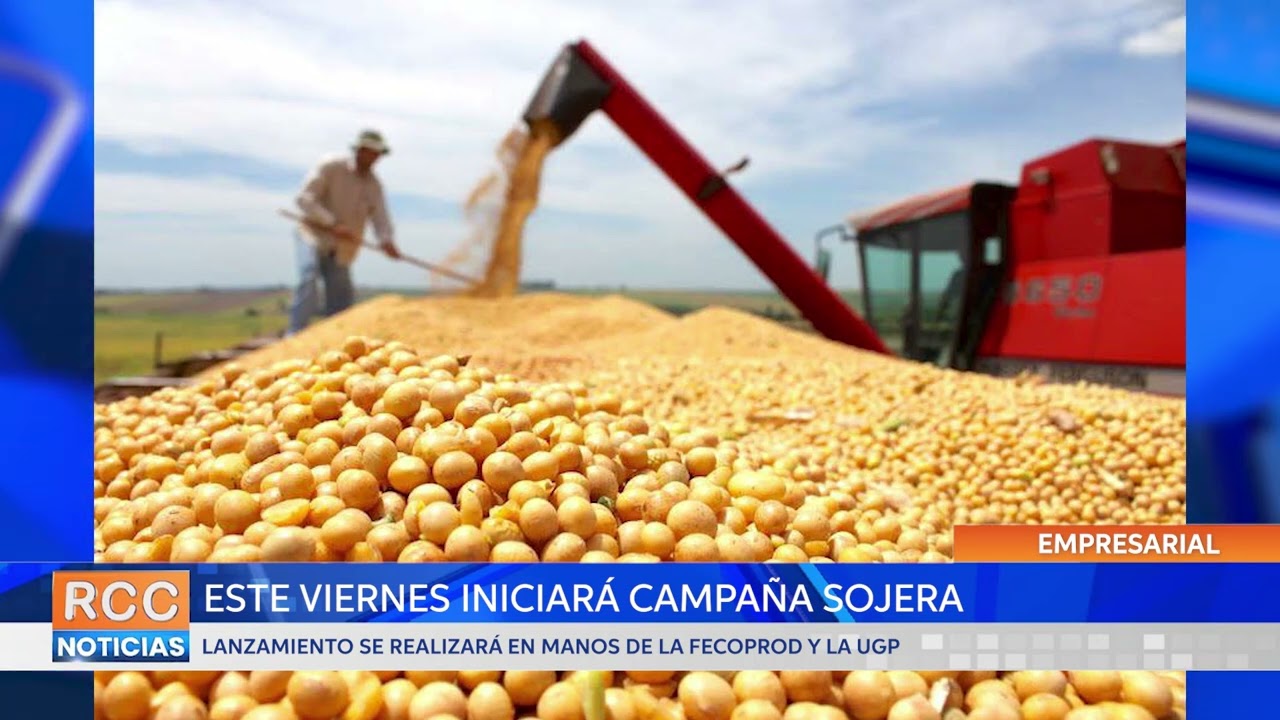 Proyectan el inicio de la campaña sojera para este próximo 15 de setiembre