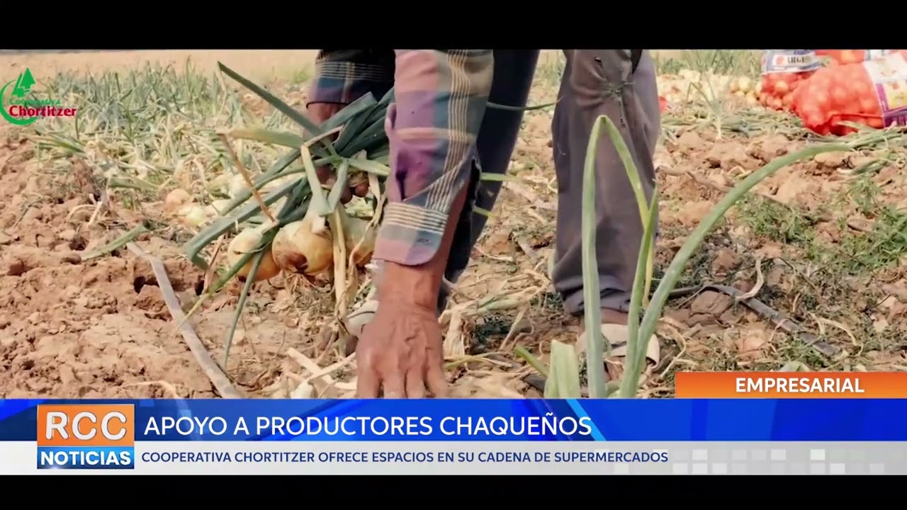 Cooperativa Chortitzer apoya a productores chaqueños mediante espacios en su cadena de supermercados