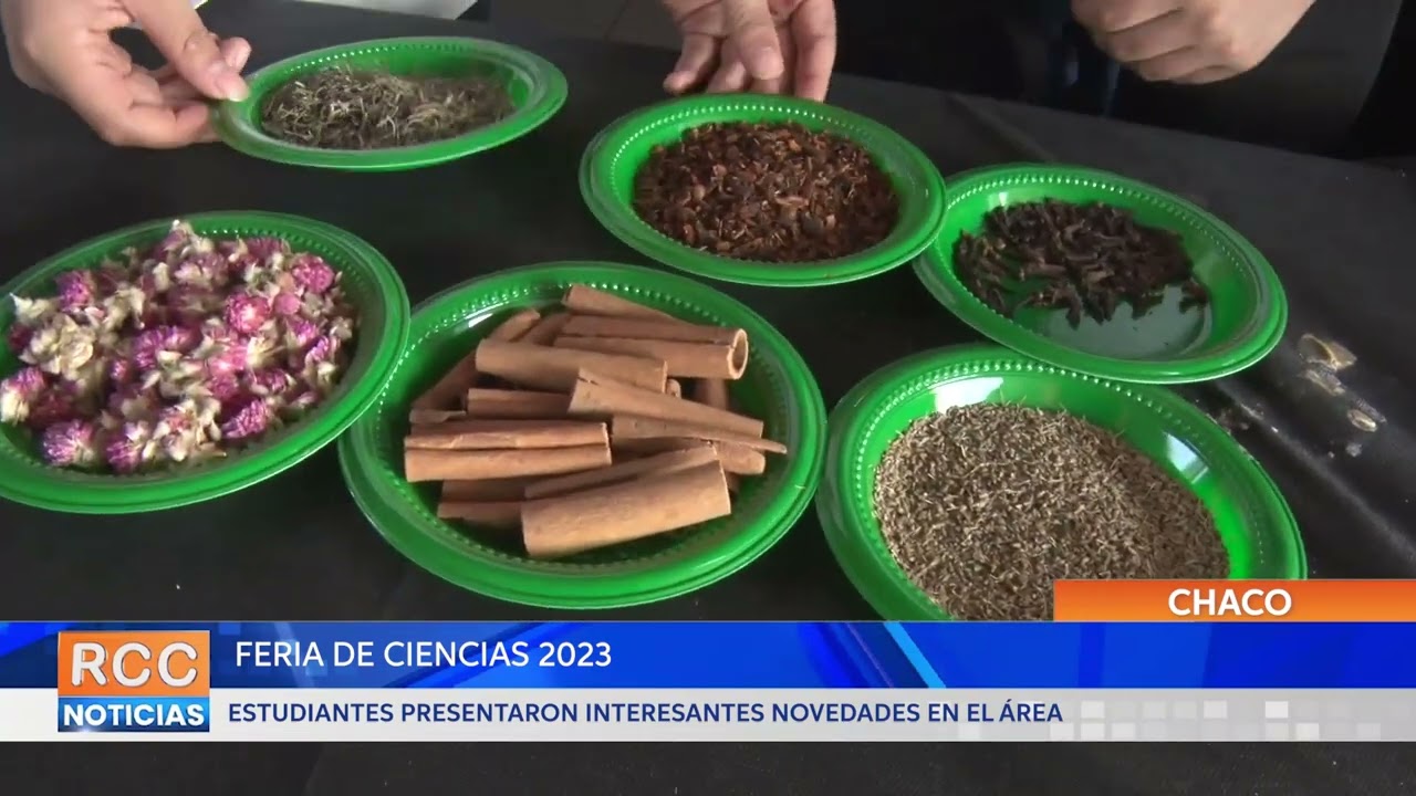 Centro Educativo 1ro de Mayo llevó adelante su Feria de Ciencias 2023