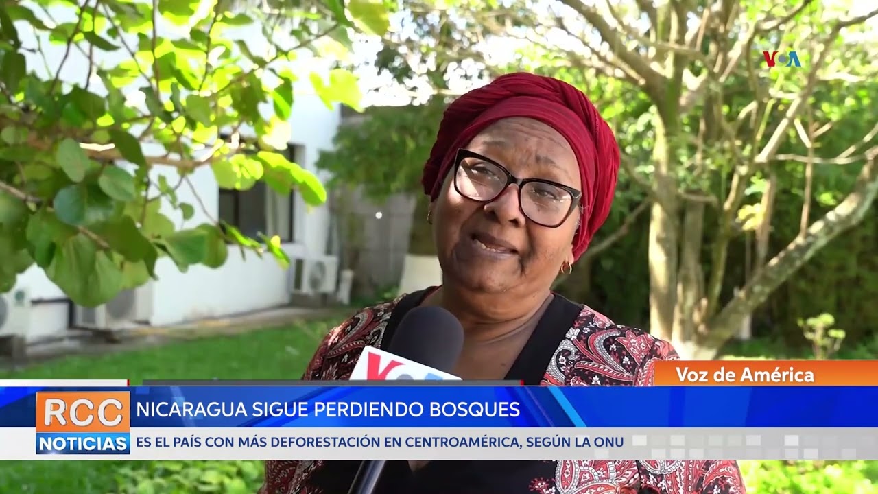 Nicaragua es el país con más deforestación en Centroamérica, según la ONU