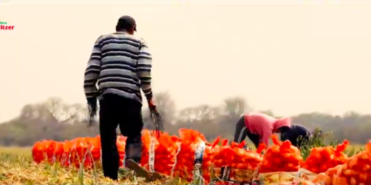 Cooperativa Chortitzer apoya a productores chaqueños mediante espacios en su cadena de supermercados