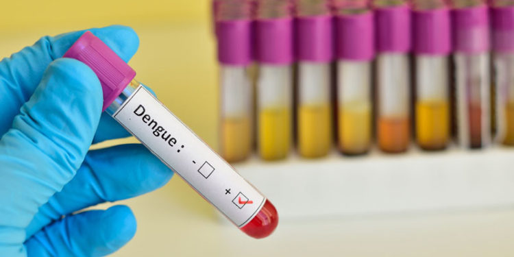 Dengue: casos siguen en progresivo aumento