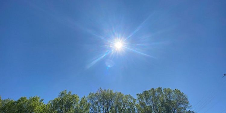 Jornada de viernes muy calurosa con máximas que superan los 40ºC