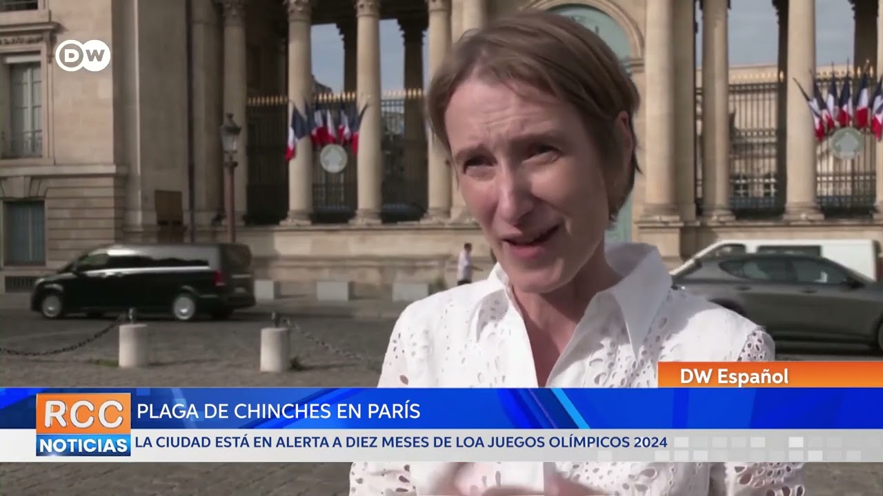 Plaga de chinches en París: piden que sea atendido como problema de salud pública