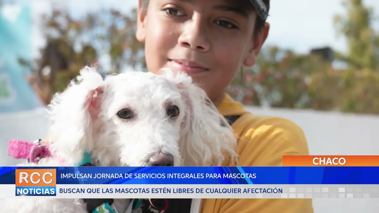 Impulsan jornada de servicios integrales gratuitos para mascotas