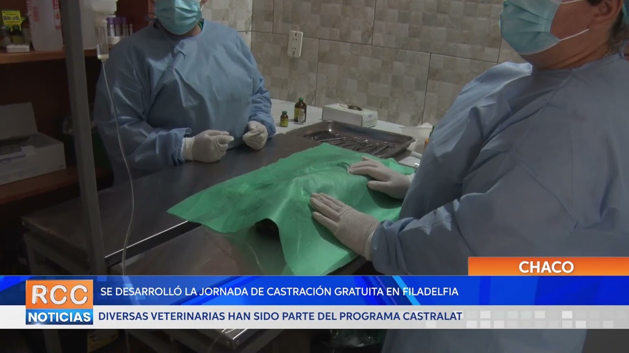 Se desarrolló la jornada de castración gratuita en Filadelfia
