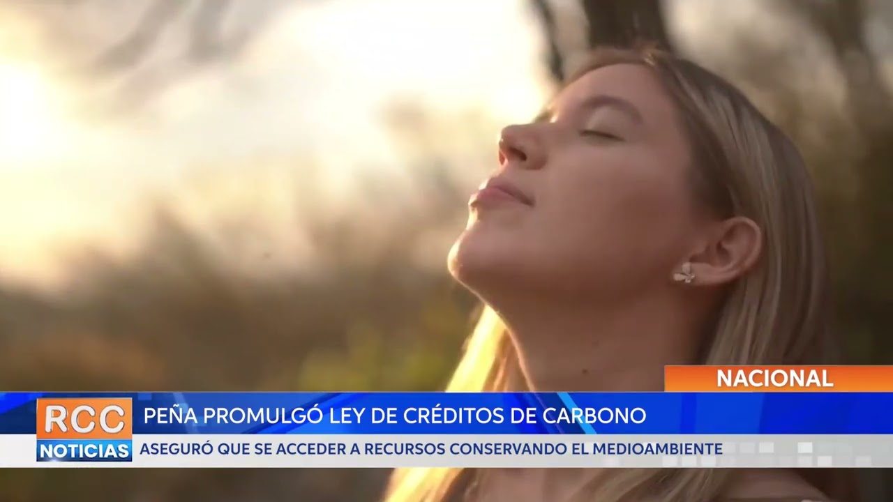 Peña promulgó ley que reglamenta créditos de carbono