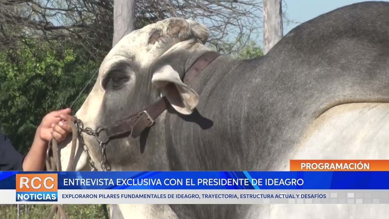 El Chaco Avanza Intercolonial Presentó una Entrevista Exclusiva con el Presidente de IDEAGRO