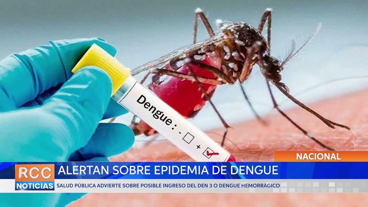 Salud Pública advierte sobre epidemia de dengue