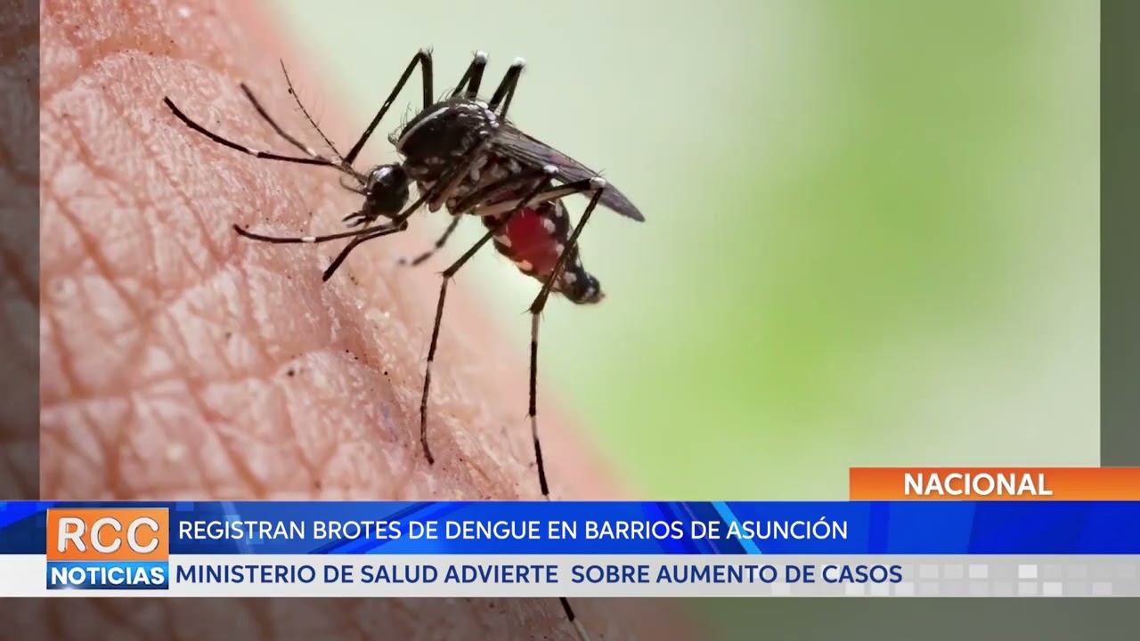 Salud Pública reporta casos de dengue en Asunción