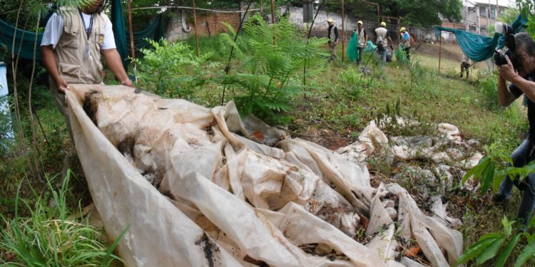 Buscan frenar epidemia del Dengue con mingas ambientales