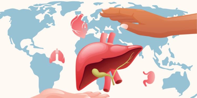 Día mundial de la donación de órganos, tejidos y trasplantes – 14 de octubre