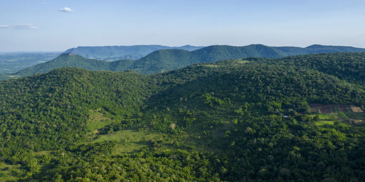 Peña promulgó ley que reglamenta créditos de carbono