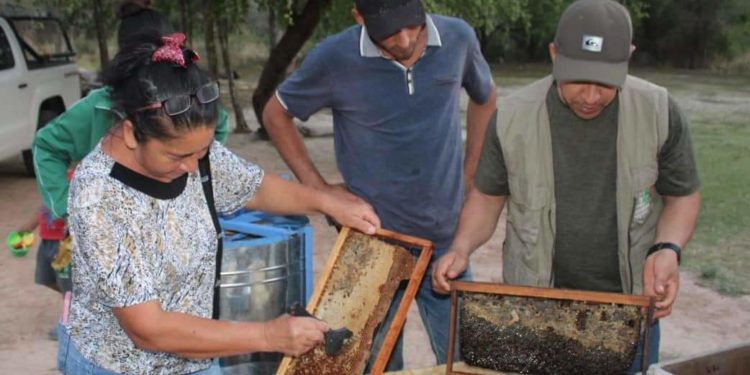 Apicultores del distrito de Fuerte Olimpo fueron capacitados
