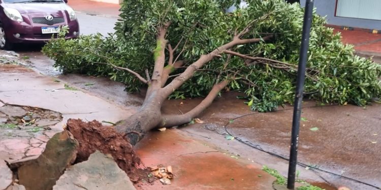 Cuantiosos destrozos ocasionados por el último temporal en varios puntos del país