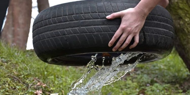 Aumento de notificaciones de dengue marca el inicio del período epidémico Aumento de notificaciones de dengue marca el inicio del período epidémico