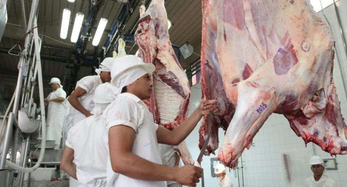 Exportación de carne bovina asciende a cerca de 235.000 toneladas