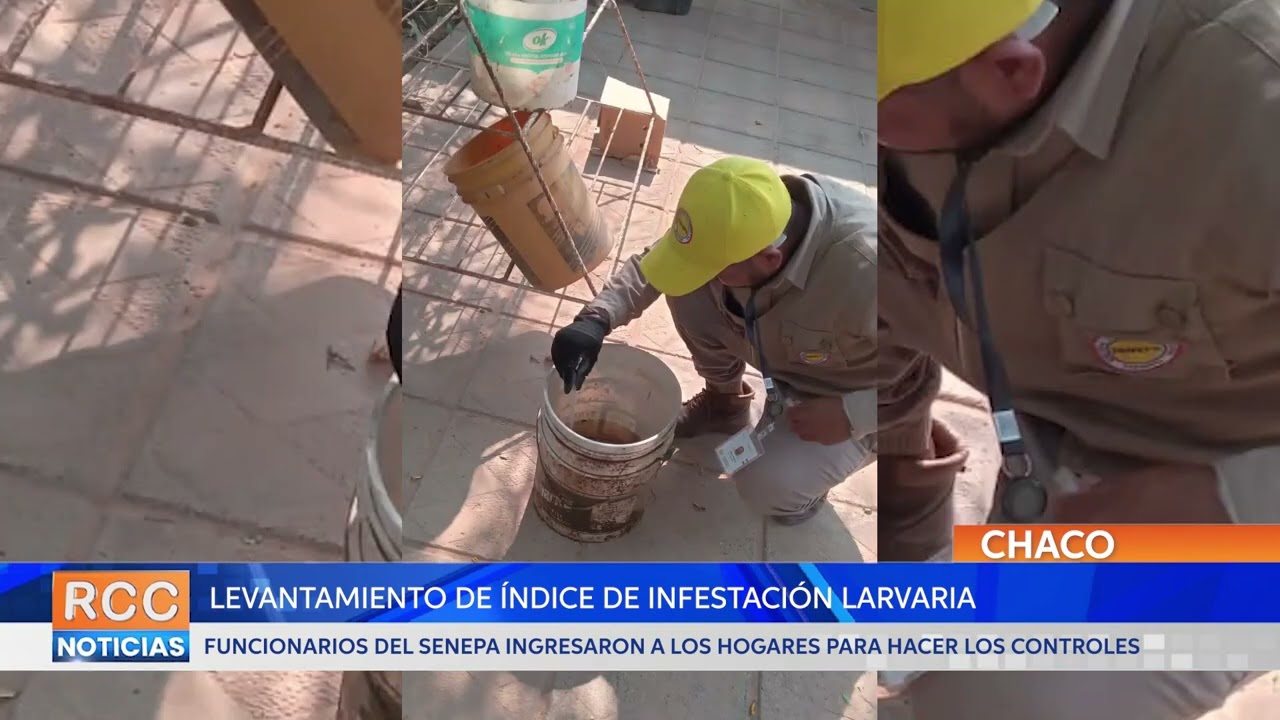 Funcionarios del SENEPA realizan levantamiento de índice de infestación larvaria en Filadelfia