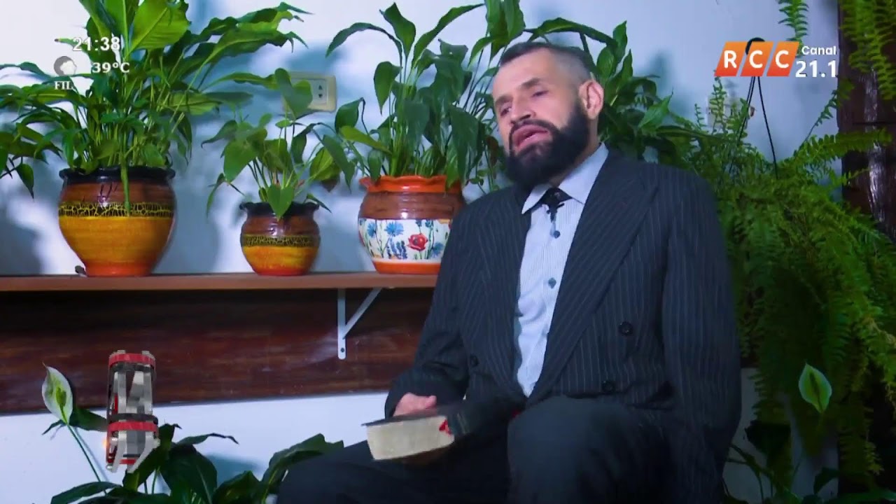 Libre tras las Rejas