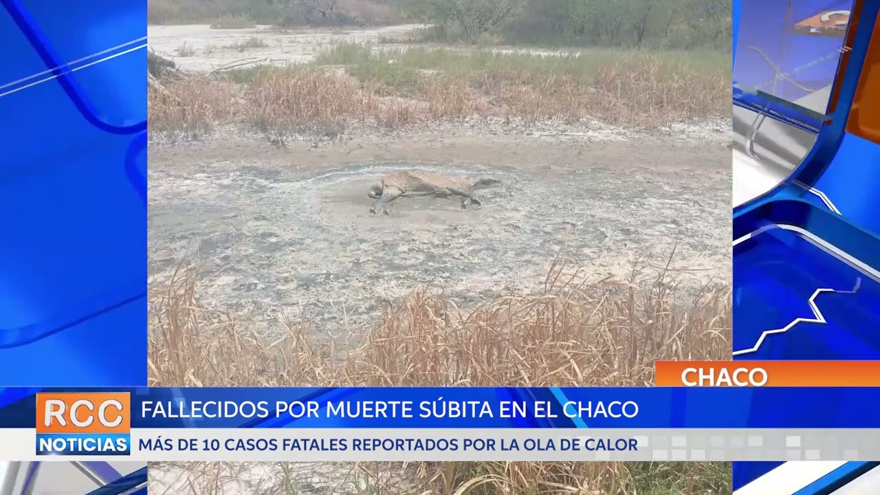 Preocupante: más de 10 casos de fallecidos por muerte súbita en el Chaco