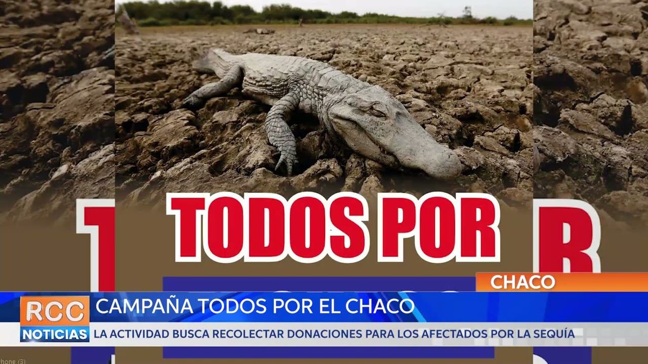 Todos por el Chaco: Campaña que busca asistir a los afectados por la sequía