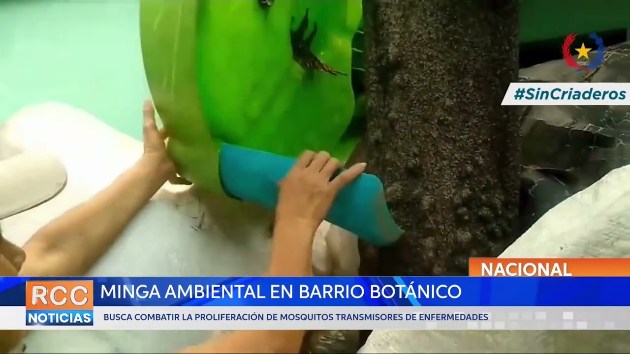 Minga ambiental en barrio Botánico busca combatir la proliferación de mosquitos transmisores