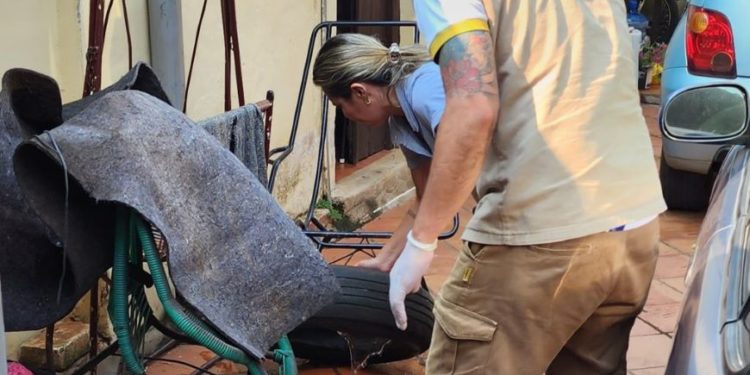 Paraguarí intensifica actividades contra el Aedes aegypti