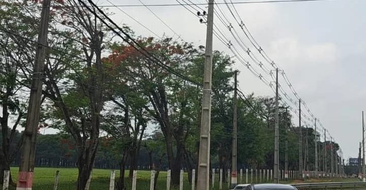 Más de 3.000 familias de Capiatá se benefician con nueva línea eléctrica habilitada por la ANDE