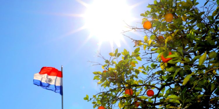 Sábado muy caluroso con máximas que superan los 40°C y probabilidad de lluvias en algunas zonas Sábado muy caluroso con máximas que superan los 40°C y probabilidad de lluvias en algunas zonas